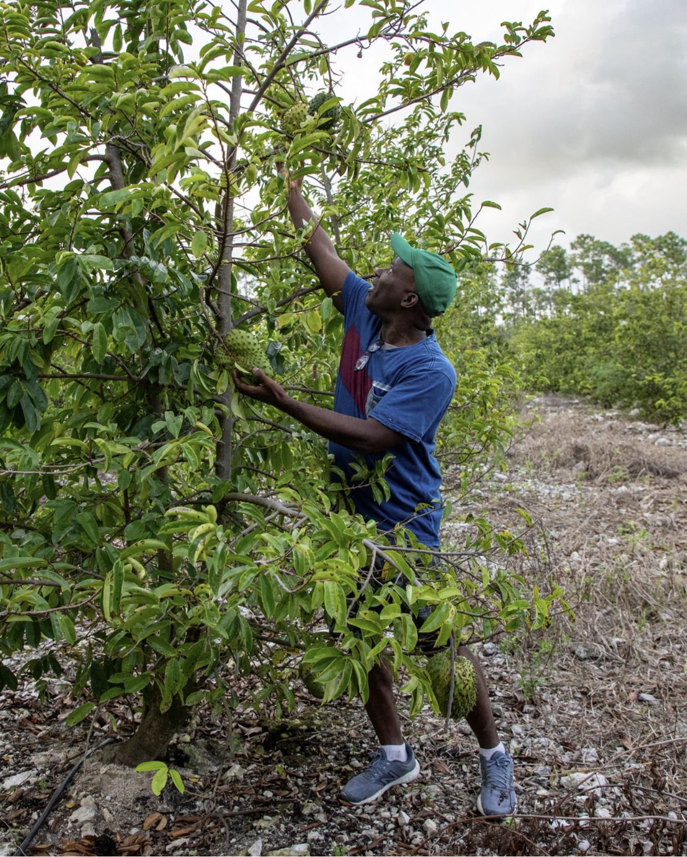 How to Register as a Farmer